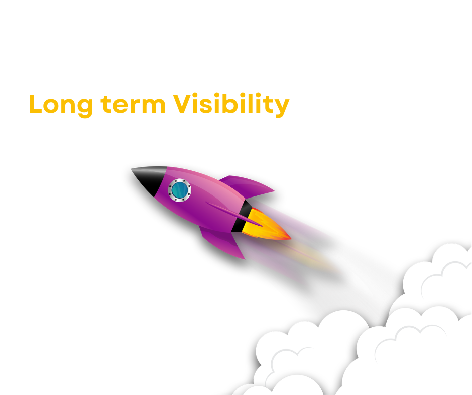 Synergy Streamz experts in Long term Organic Visibility